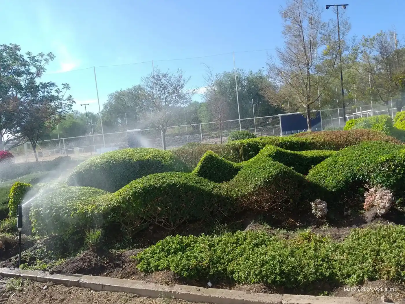 Diseño de Jardín Residencial