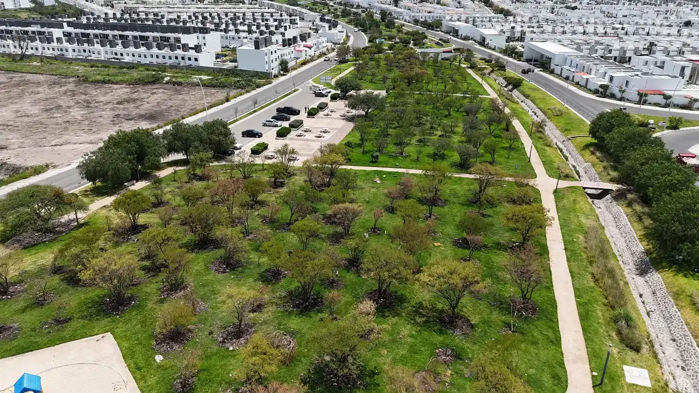 Diseño de Jardín Residencial