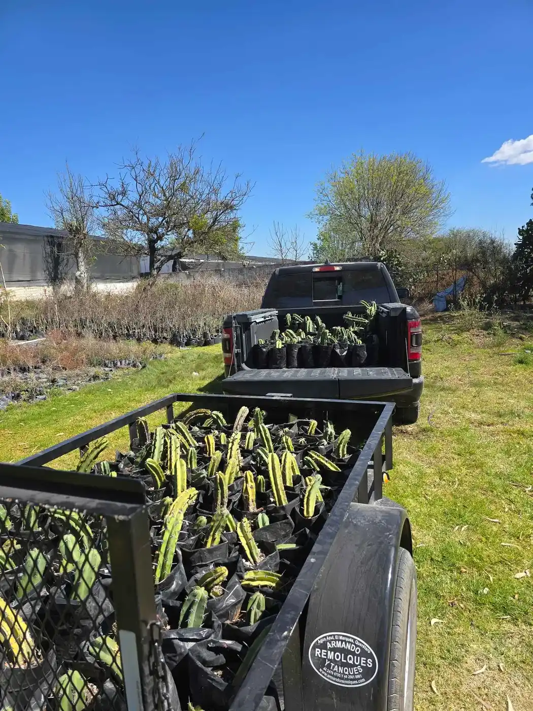 Paisajismo para Terraza